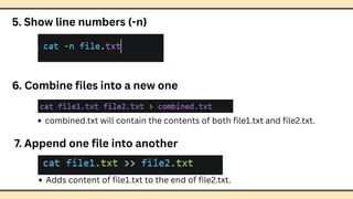 Comprehensive Guide to Basic Linux Commands for Beginners | PDF