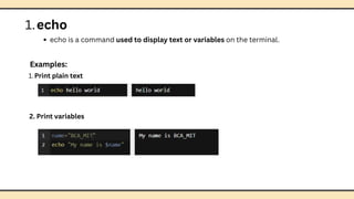 Comprehensive Guide to Basic Linux Commands for Beginners | PDF