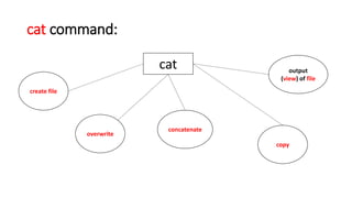 cat command:
cat
create file
overwrite
concatenate
copy
output
(view) of file
 