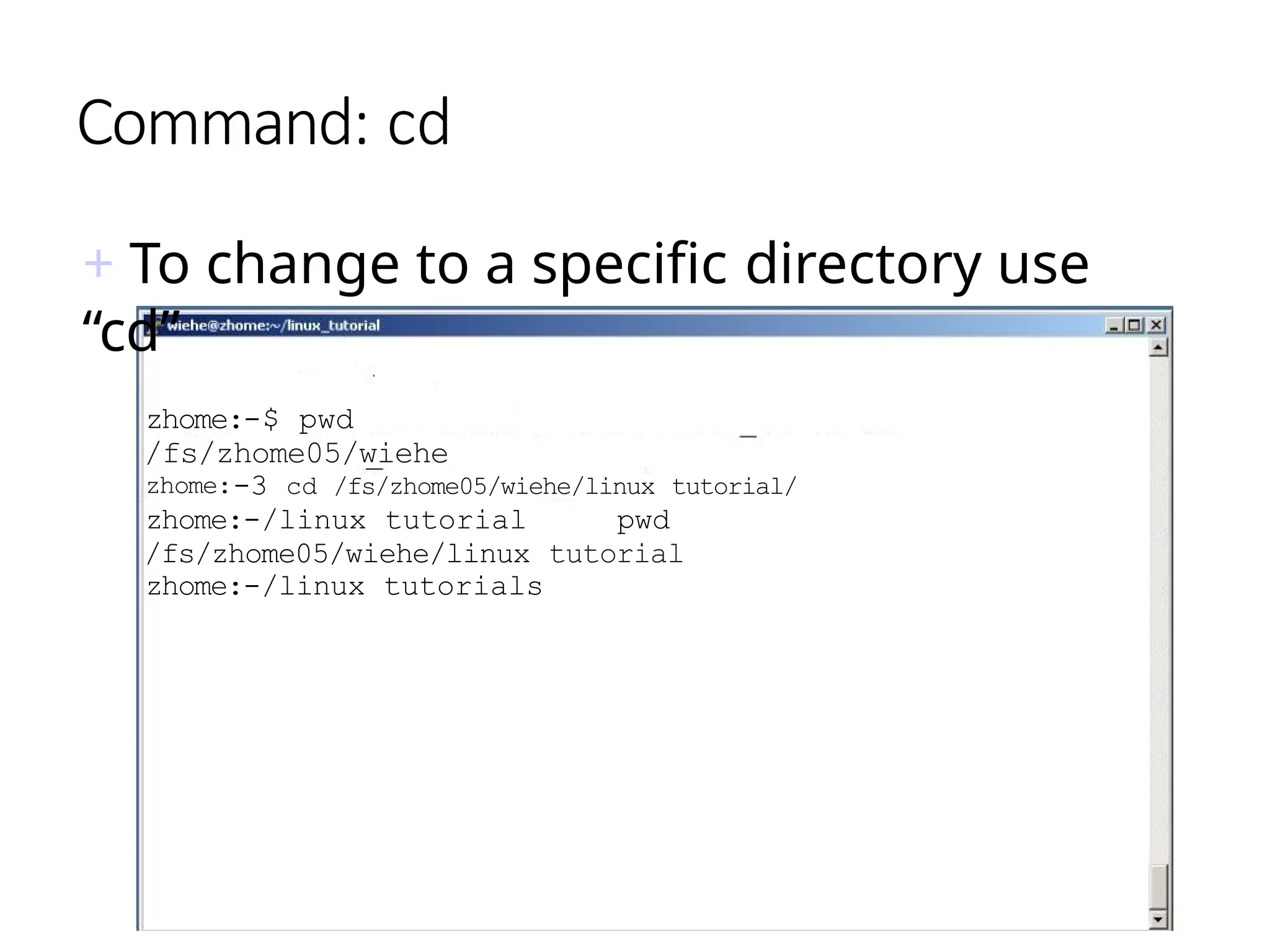 Command: cd
+ To change to a specific directory use
“cd”
zhome:-$ pwd
/fs/zhome05/wiehe
zhome:-3 cd /fs/zhome05/wiehe/linux tutorial/
zhome:-/linux tutorial pwd
/fs/zhome05/wiehe/linux tutorial
zhome:-/linux tutorials
 