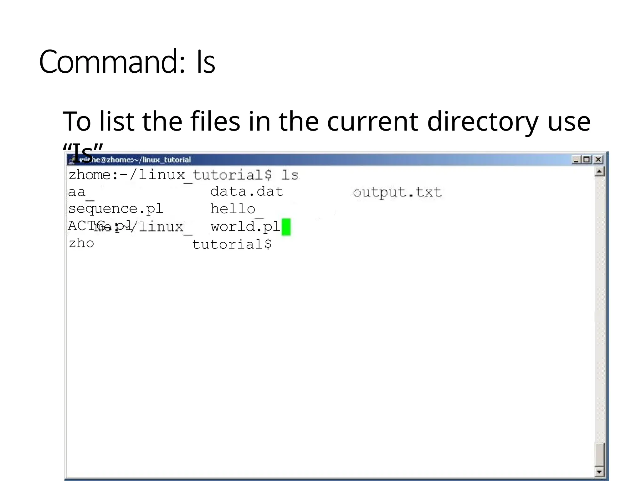 Command: Is
To list the files in the current directory use
“Is”
zhome:-/linux
aa
sequence.pl
ACTG.pl
zho
data.dat
hello
world.pl
tutorial$
 