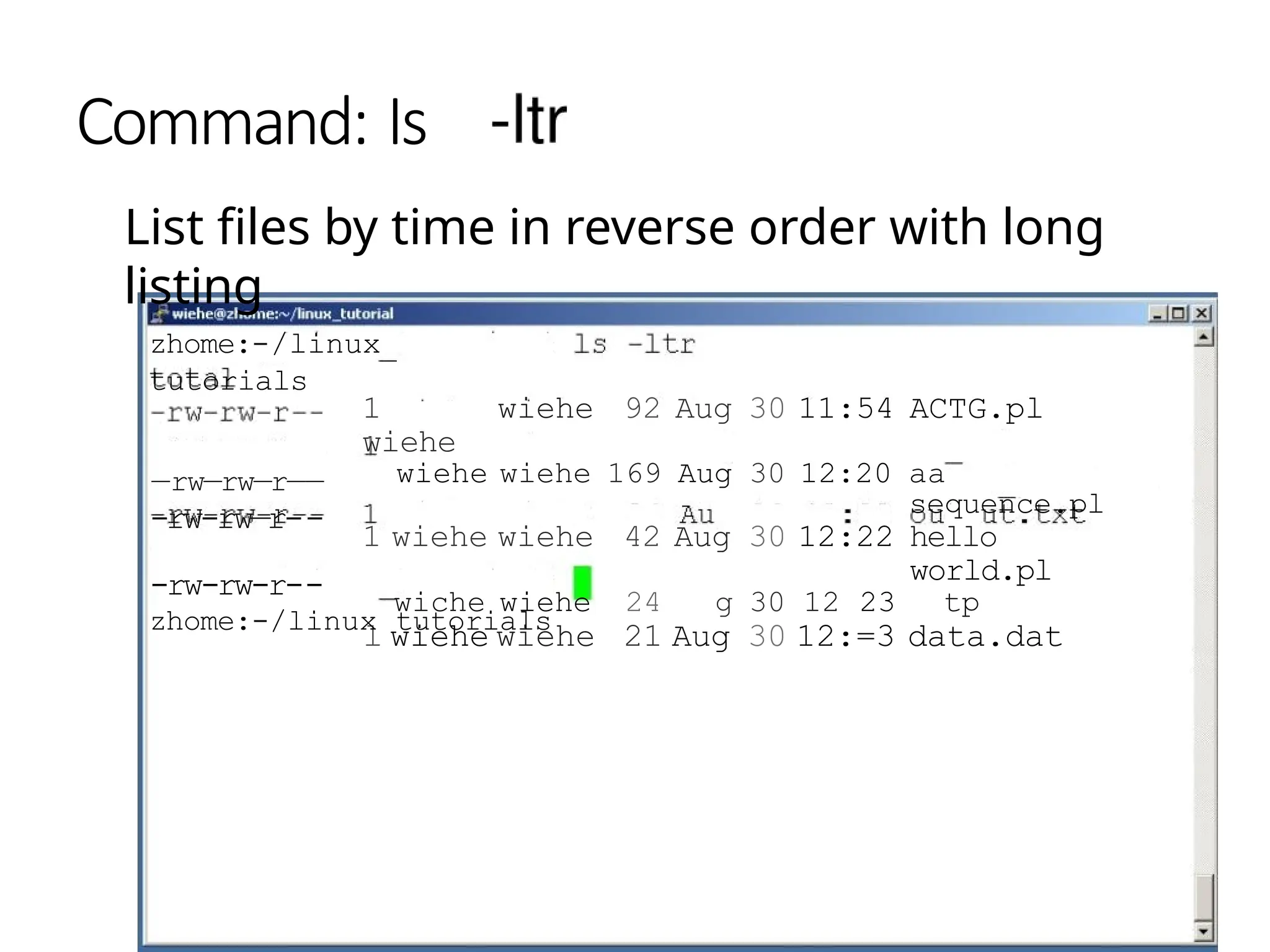Command: Is
List files by time in reverse order with long
listing
1
wiehe
wiehe 92 Aug 30 11:54 ACTG.pl
wiehe wiehe 169 Aug 30 12:20 aa
sequence.pl
1 wiehe wiehe 42 Aug 30 12:22 hello
world.pl
wiche wiehe 24 g 30 12 23 tp
l wiehe wiehe 21 Aug 30 12:=3 data.dat
zhome:-/linux
tutorials
—rw—rw—r——
-rw-rw—r--
-rw-rw-r--
zhome:-/linux tutorials
 