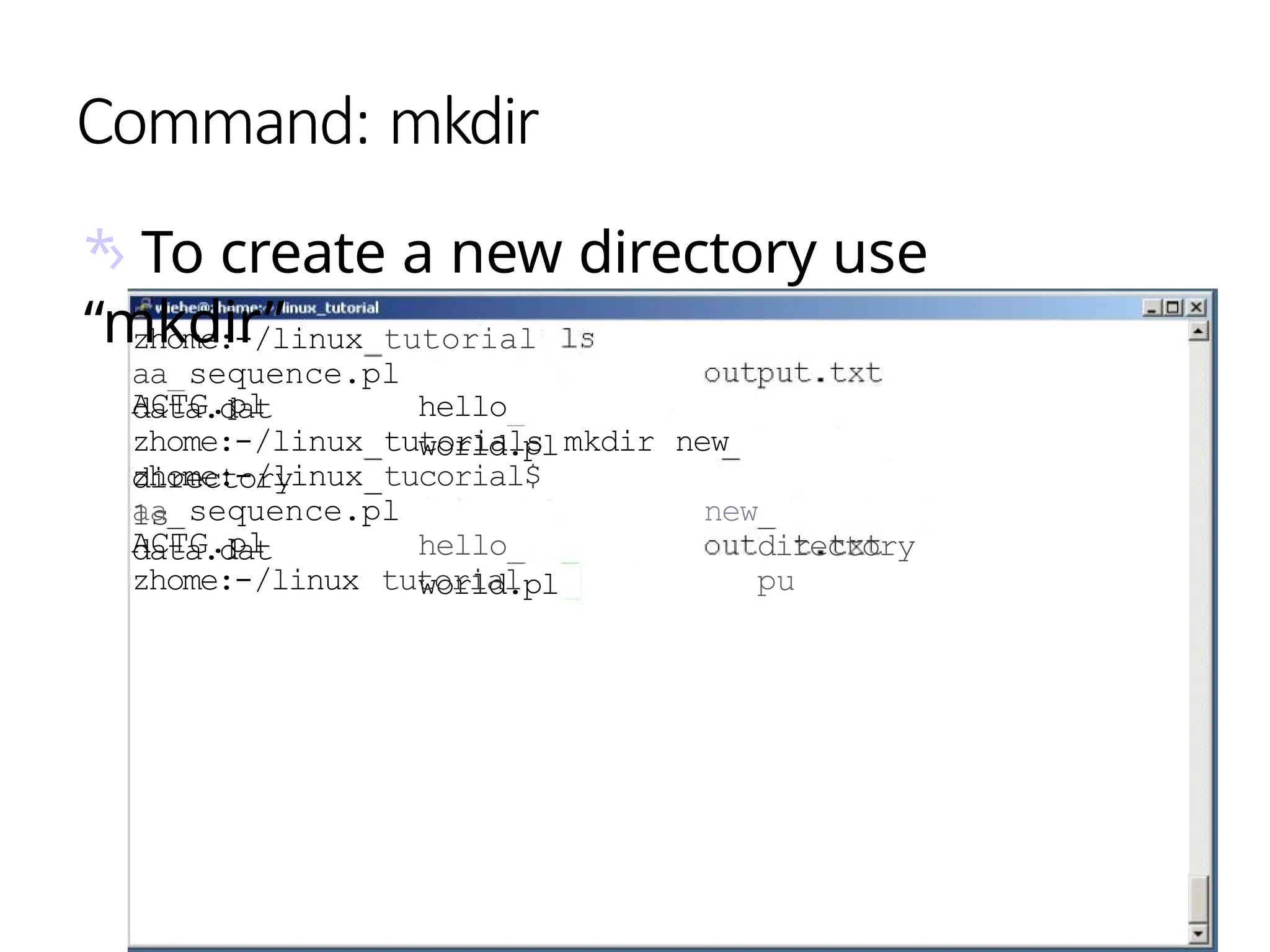 Command: mkdir
*› To create a new directory use
“mkdir”
zhome:-/linux tutorial
aa sequence.pl
data.dat hello
world.pl
ACTG.pl
zhome:-/linux tutorials mkdir new
directory
zhome:-/linux tucorial$
1s
aa sequence.pl
data.dat hello
world.pl
new
directory
pu
ACTG.pl
zhome:-/linux tutorial
 