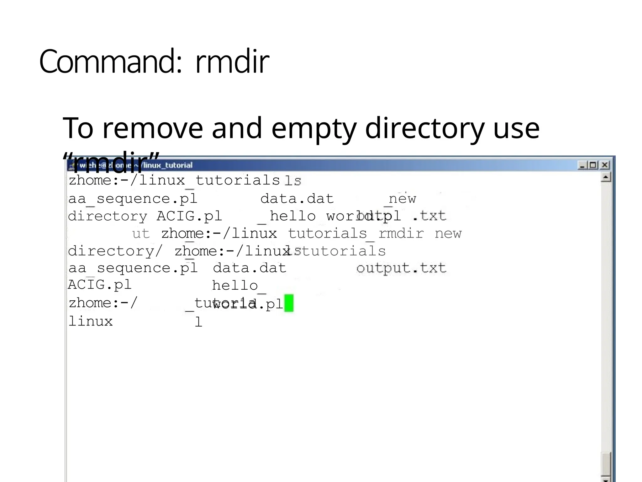 Command: rmdir
To remove and empty directory use
“rmdir”
zhome:-/linux tutorials
aa sequence.pl data.dat new
directory ACIG.pl hello world.pl
ut zhome:-/linux tutorials rmdir new
directory/ zhome:-/linux tutorials
aa sequence.pl data.dat
hello
world.pl
ACIG.pl
zhome:-/
linux
tutoria
l
 