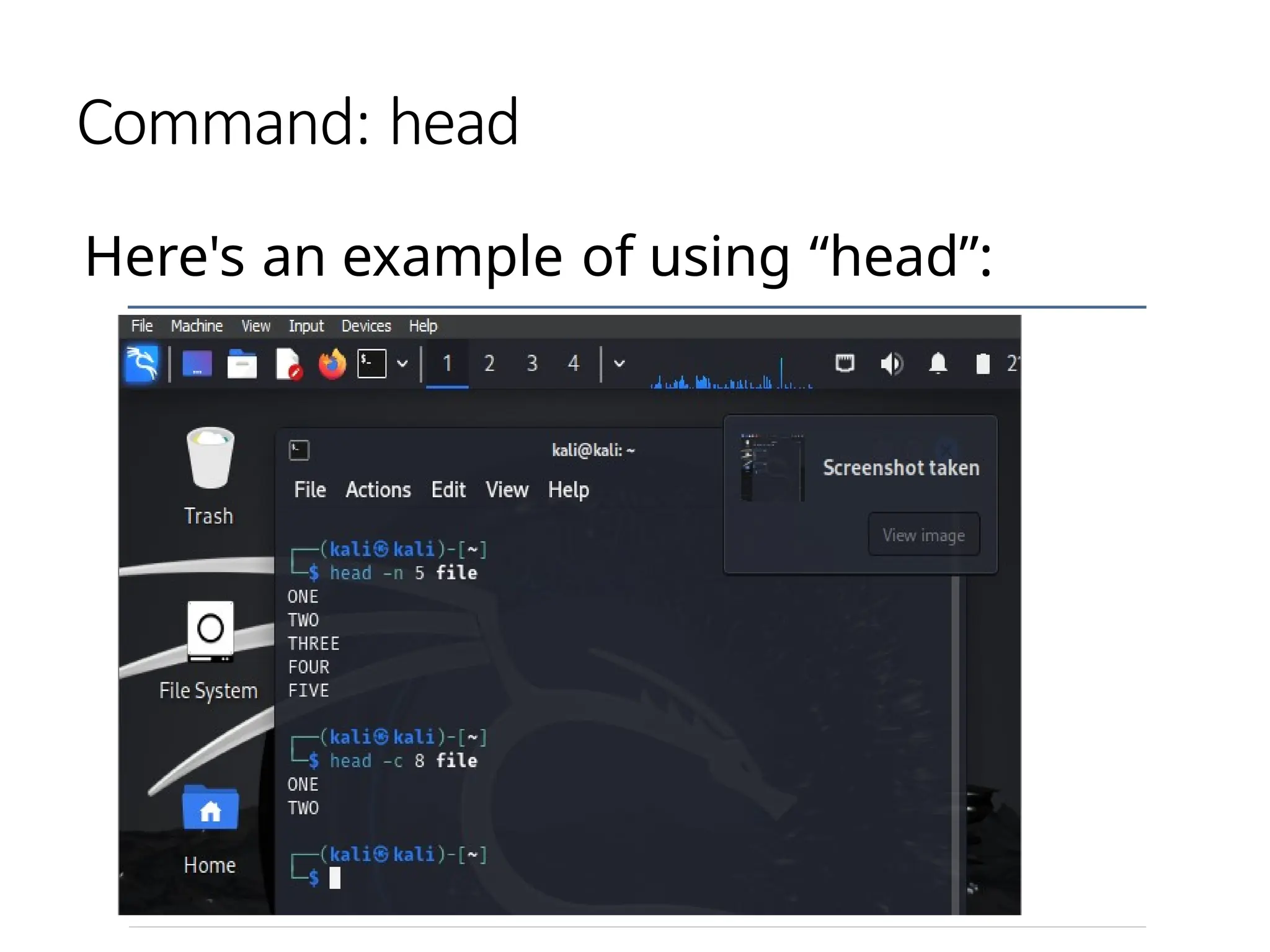Command: head
Here's an example of using “head”:
 