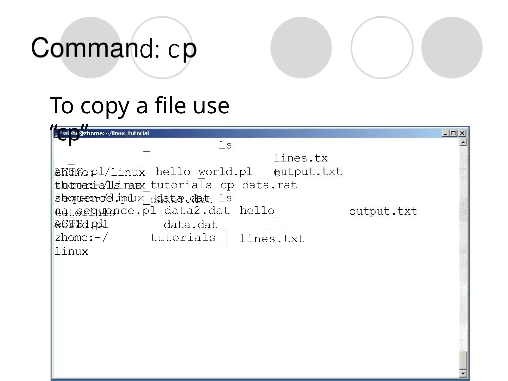 d: c
To copy a file use
“cp”
zhcme: /linux
tutorials aa
sequence.pl data.dat
lines.tx
t tpu
ACTG.pl hello world.pl
zhcme:-/linux tutorials cp data.rat
data?.dat
zhome:-/linux
tutorials
aa sequence.pl data2.dat hello
world.pl
lines.txt
ACTS.pl
zhome:-/
linux
data.dat
tutorials
 