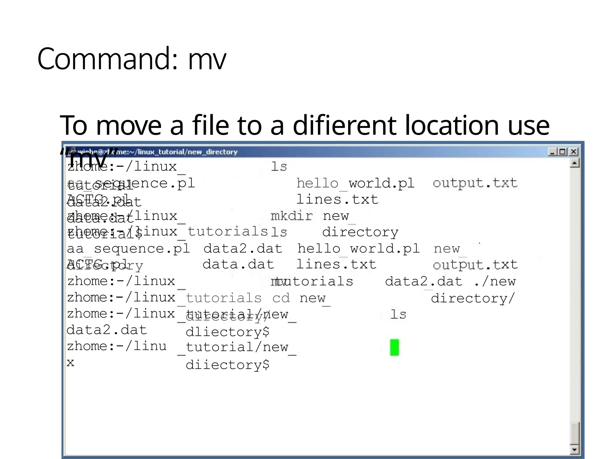 Command: mv
To move a file to a difierent location use
“mv”
zhome:-/linux
tutorial
aa sequence.pl
data2.dat
ACTG.pl
data.dat
zhome:-/linux
tutorial$
hello world.pl
lines.txt
new
directory
zhome:-/linux tutorials
aa sequence.pl data2.dat hello world.pl new
directory data.dat lines.txt tp xt
tutorials data2.dat ./new
directory/
tutorials cd new
directory/
tutorial/new
dliectory$
ACTG.pl
zhome:-/linux
zhome:-/linux
zhome:-/linux
data2.dat
zhome:-/linu
x
tutorial/new
diiectory$
 
