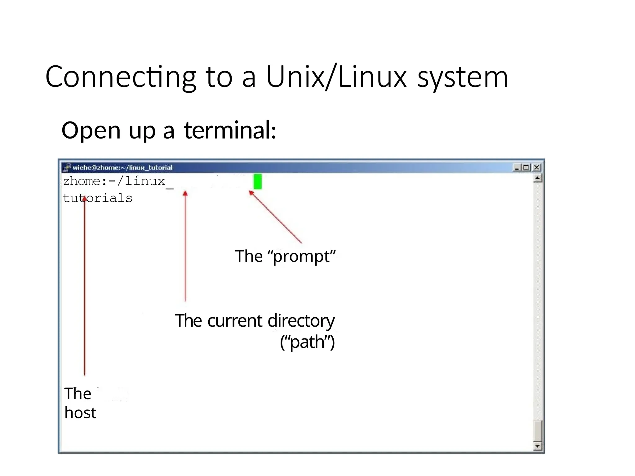 Connecting to a Unix/Linux system
Open up a terminal:
zhome:-/linux
tutorials
The
host
The “prompt”
The current directory
(“path”)
 