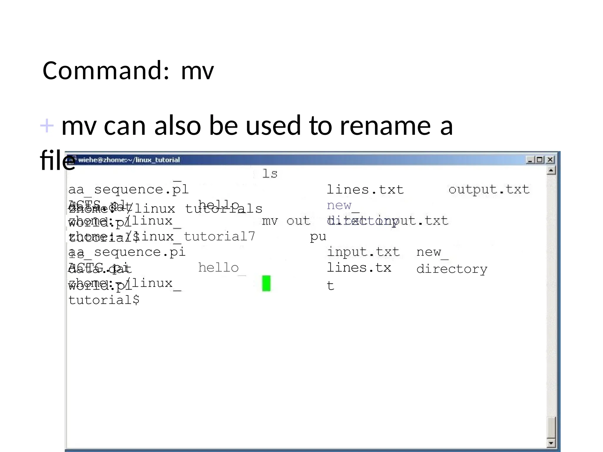 Command: mv
+ mv can also be used to rename a
file
zhome: /linux tutorials
aa sequence.pl
data.dat
ACTS pl hello
world.pl
zhome:-/linux
tutorial$
lines.txt
new
directory
pu
zhome:-/linux tutorial7
1s
aa sequence.pi
data.dat
ACTG.pi hello
world.pl
lines.tx
t
zhome:-/linux
tutorial$
new
directory
 