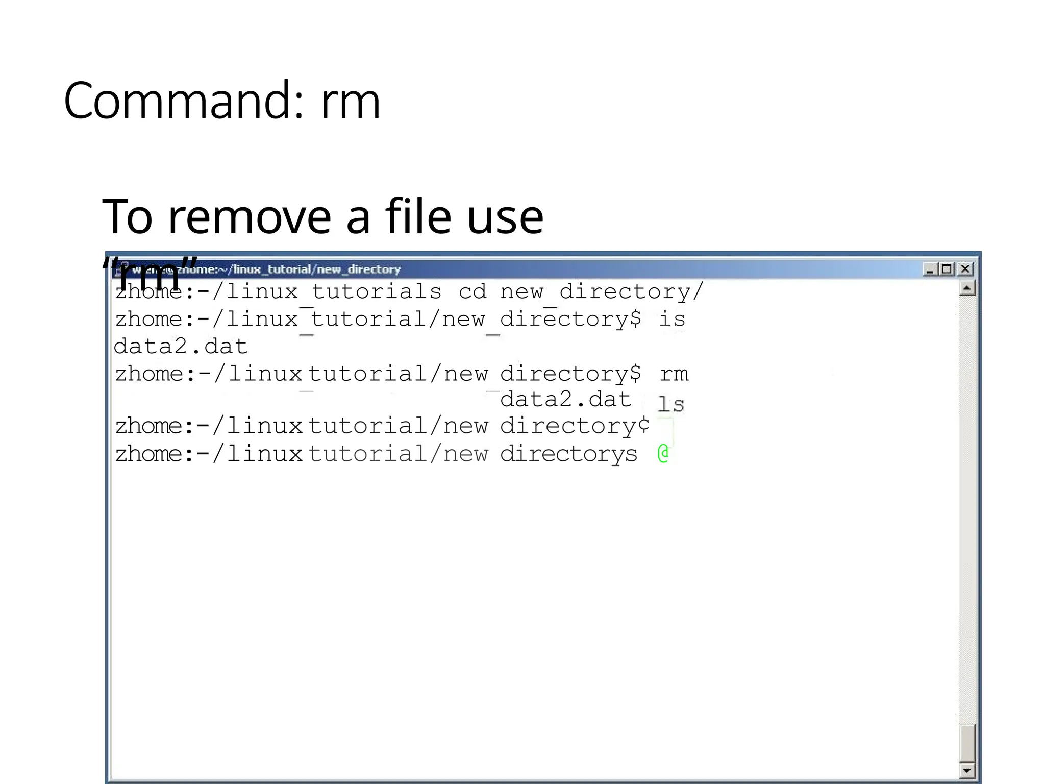 Command: rm
To remove a file use
“rm”
zhome:-/linux tutorials cd new directory/
zhome:-/linux tutorial/new directory$ is
data2.dat
zhome:-/linux tutorial/new directory$ rm
data2.dat
zhome:-/linuxtutorial/new directory¢
zhome:-/linuxtutorial/new directorys @
 