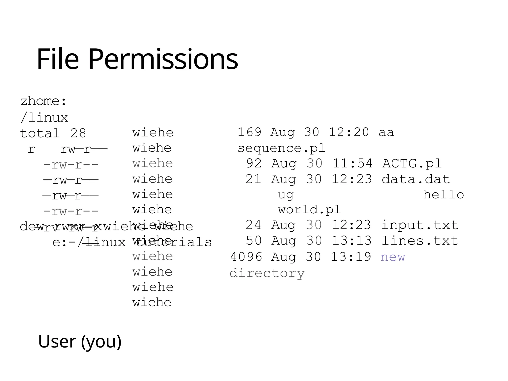 File Permissions
zhome:
/linux
total 28
r rw—r——
-rw-r--
—rw—r——
—rw—r——
-rw-r--
—rv rw—r
——
wiehe
wiehe
wiehe
wiehe
wiehe
wiehe
wiehe
wiehe
wiehe
wiehe
wiehe
wiehe
dew rwxr—xwiehe wiehe
e:-/linux tutorials
User (you)
169 Aug 30 12:20 aa
sequence.pl
92 Aug 30 11:54 ACTG.pl
21 Aug 30 12:23 data.dat
ug hello
world.pl
24 Aug 30 12:23 input.txt
50 Aug 30 13:13 lines.txt
4096 Aug 30 13:19 new
directory
 