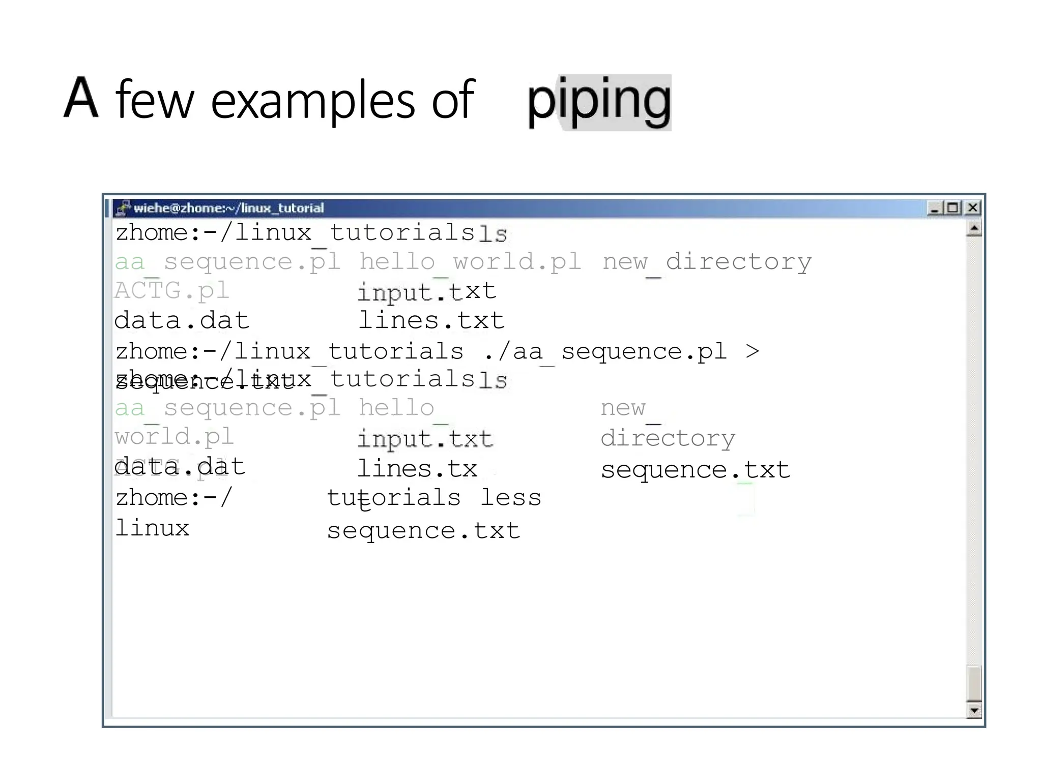 few examples of
zhome:-/linux tutorials
aa sequence.pl hello world.pl new directory
ACTG.pl xt
data.dat lines.txt
zhome:-/linux tutorials ./aa sequence.pl >
sequence.txt
zhome:-/linux tutorials
aa sequence.pl hello
world.pl
ACTG.pl
new
directory
sequence.txt
lines.tx
t
data.dat
zhome:-/
linux
tutorials less
sequence.txt
 