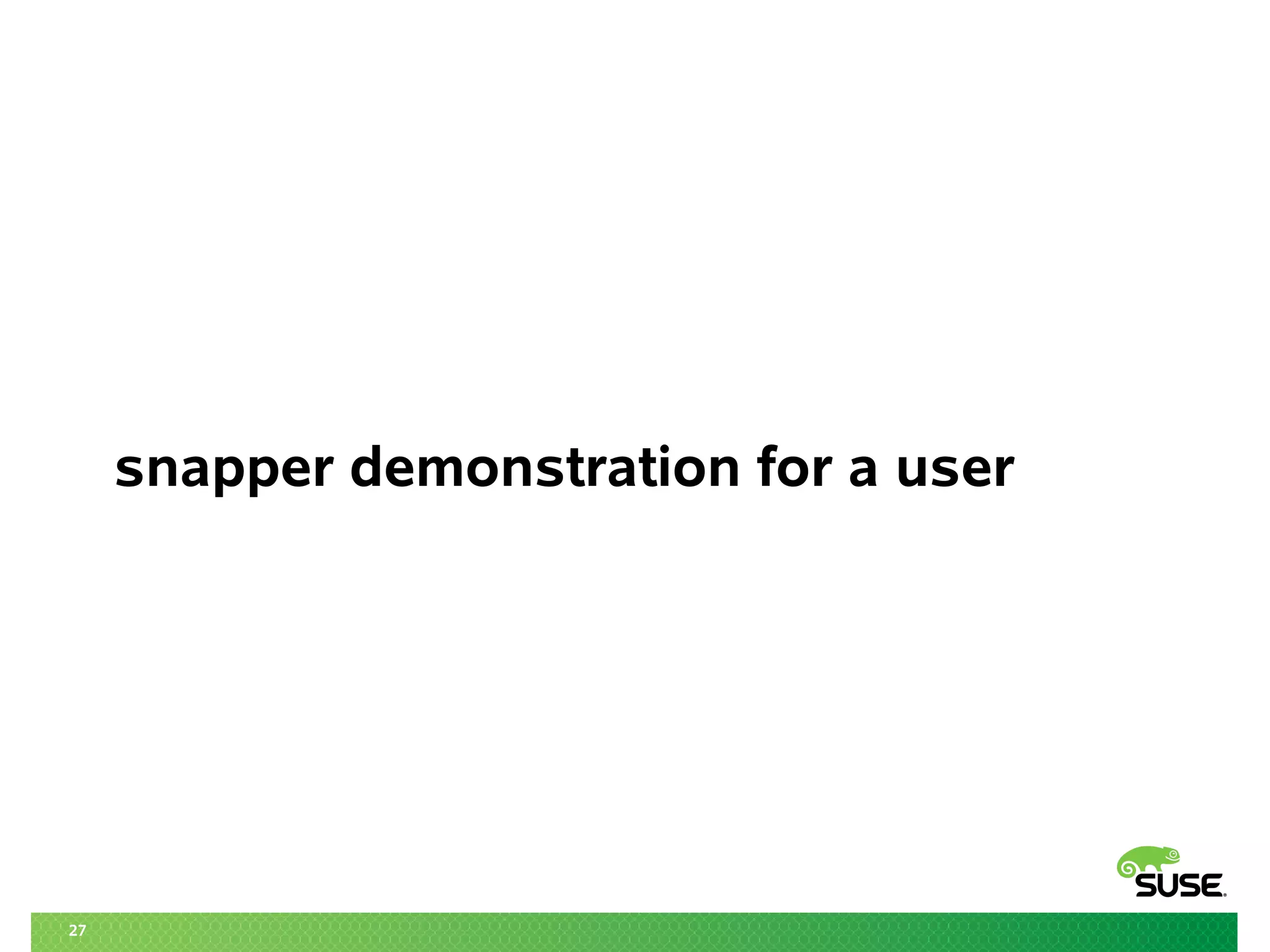 27
snapper demonstration for a user
 