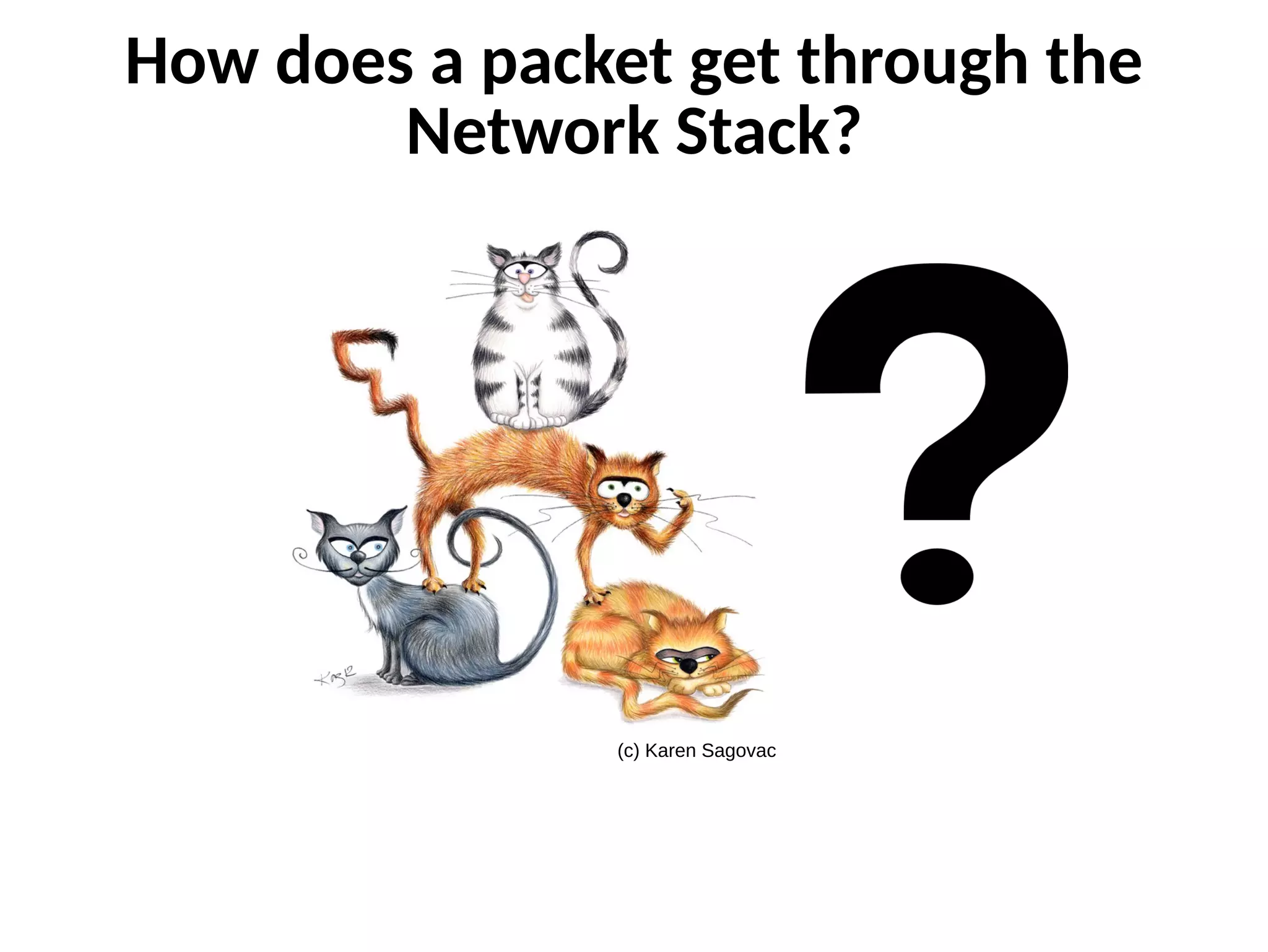 How does a packet get through the
Network Stack?
(c) Karen Sagovac
 