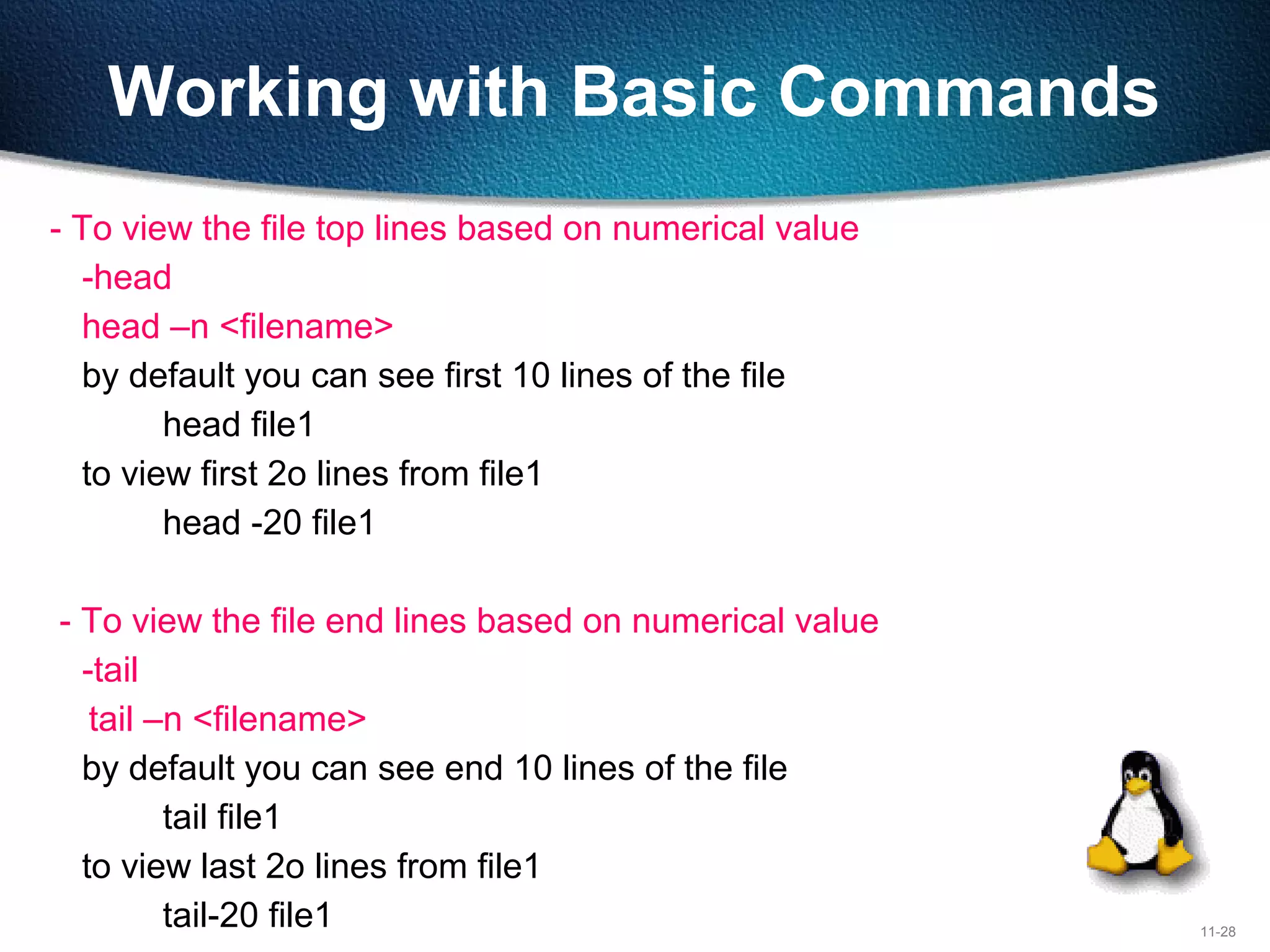 11-28
Working with Basic Commands
- To view the file top lines based on numerical value
-head
head –n <filename>
by default you can see first 10 lines of the file
head file1
to view first 2o lines from file1
head -20 file1
- To view the file end lines based on numerical value
-tail
tail –n <filename>
by default you can see end 10 lines of the file
tail file1
to view last 2o lines from file1
tail-20 file1
 