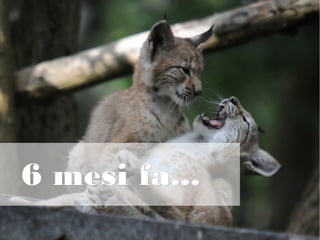 6 mesi fa...6 mesi fa...
 