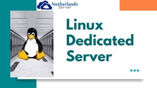 Linux
Dedicated
Server
 