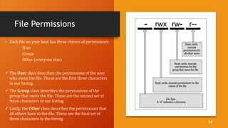 File Permissions
• Each file on your host has three classes of permissions:
User
Group
Other (everyone else)
 The User class describes the permissions of the user
who owns the file. These are the first three characters
in our listing.
 The Group class describes the permissions of the
group that owns the file. These are the second set of
three characters in our listing.
 Lastly, the Other class describes the permissions that
all others have to the file. These are the final set of
three characters in the listing.
54
 