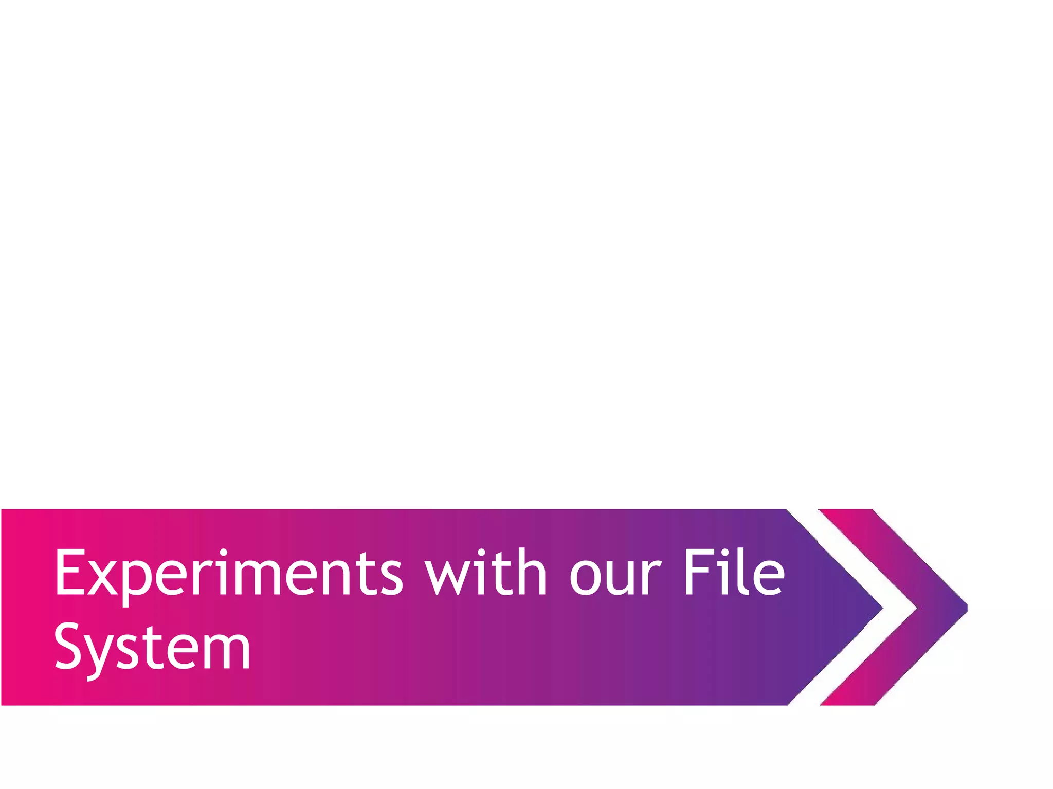 Experiments with our File
System
 