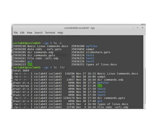 Linux - Directory commands