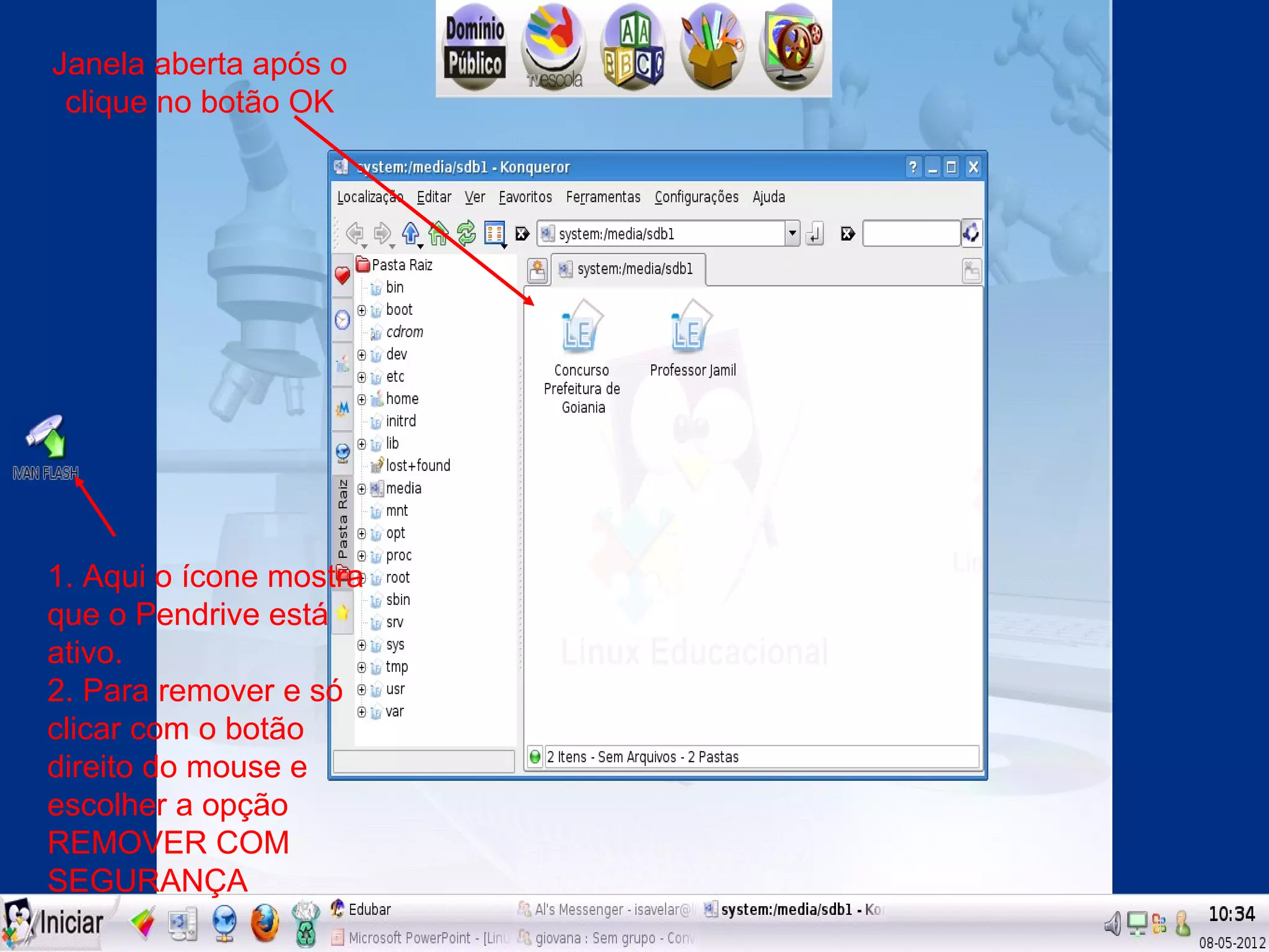 Janela aberta após o
 clique no botão OK




1. Aqui o ícone mostra
que o Pendrive está
ativo.
2. Para remover e só
clicar com o botão
direito do mouse e
escolher a opção
REMOVER COM
SEGURANÇA
 