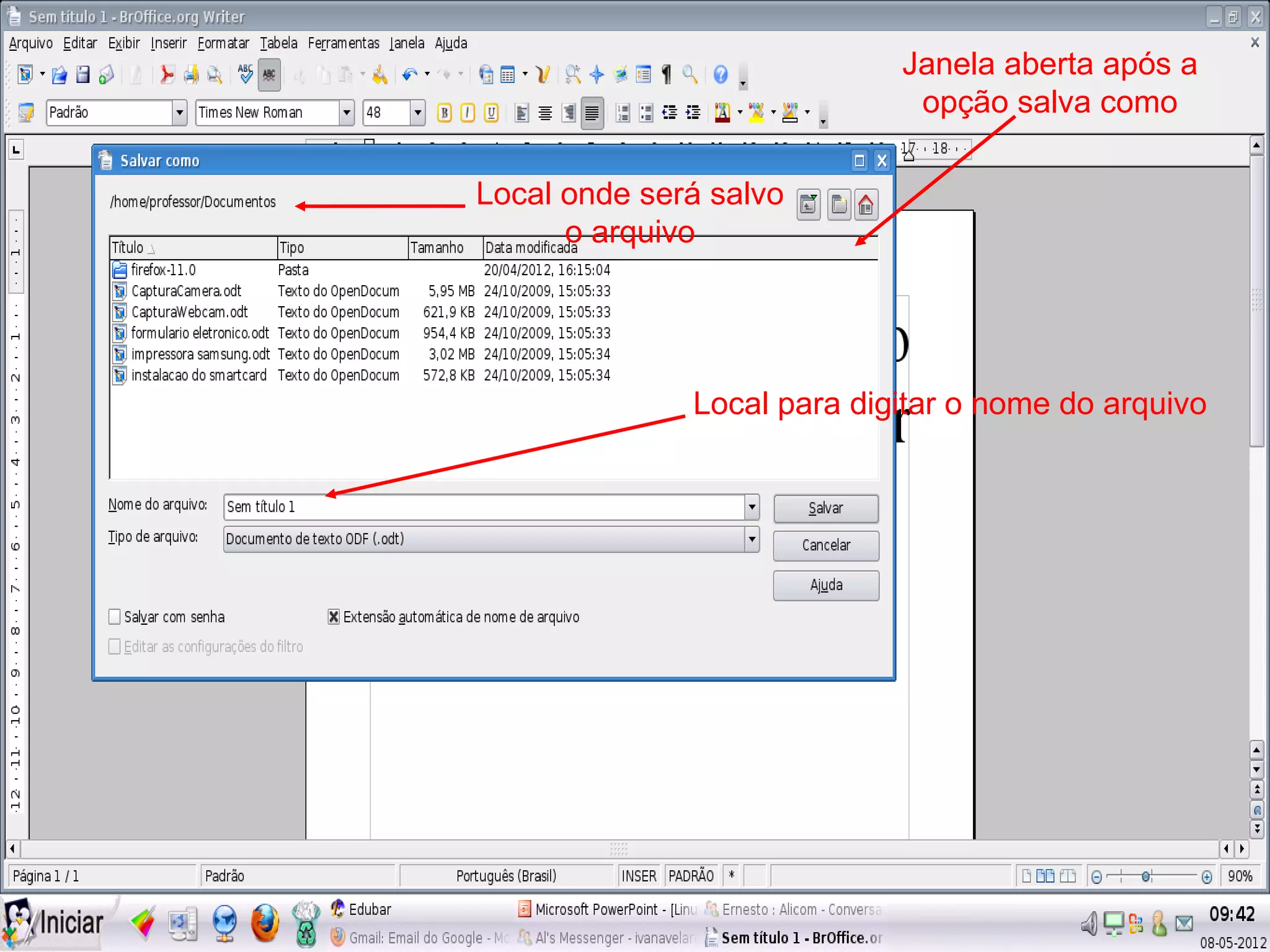 Janela aberta após a
                             opção salva como

Local onde será salvo
      o arquivo




              Local para digitar o nome do arquivo
 