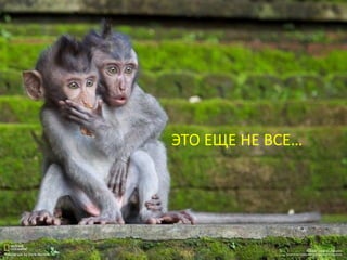 ЭТО ЕЩЕ НЕ ВСЕ…
 