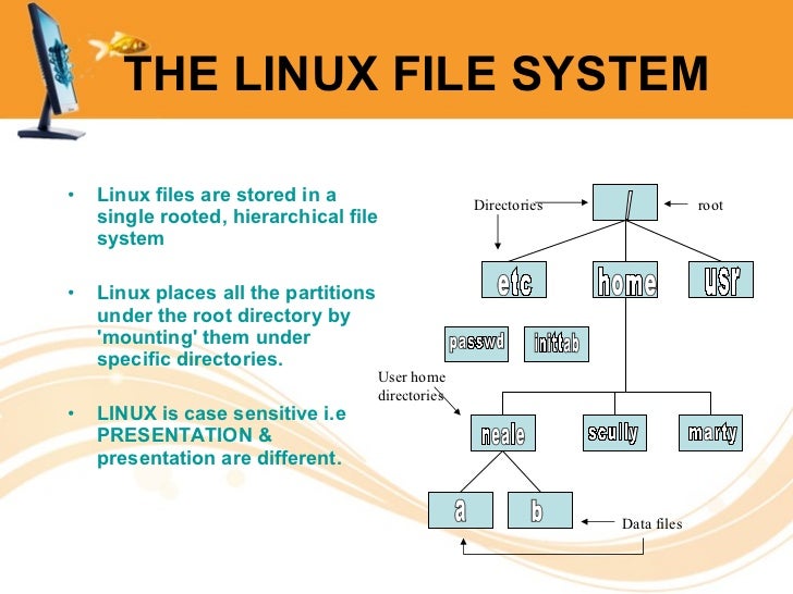 Команда операционной системы linux. Система Linux. Структура команд в Linux. Файловая система Linux. Файловая система в Linux Ubuntu.