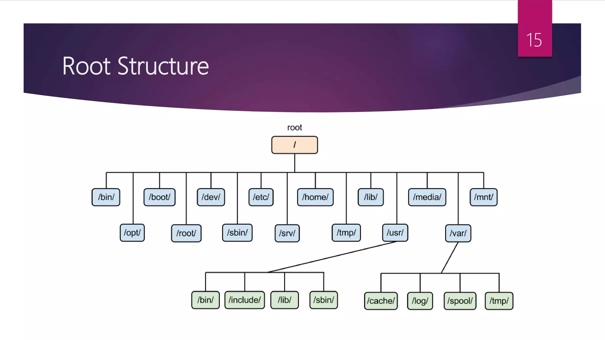 Root Structure
15
 