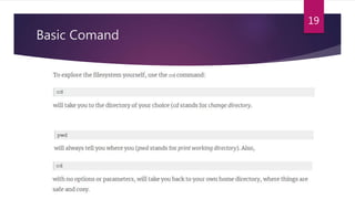 Basic Comand
19
 