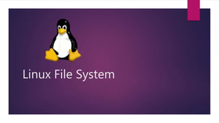 Linux File System
 