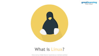 Linux+ Filesystem TO LEARN linux exam | PDF