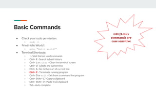 Linux for Beginners | PDF