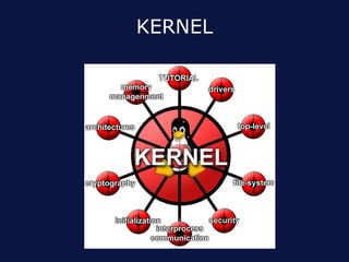 KERNEL
 