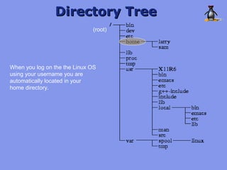 Directory Tree
                              (root)




When you log on the the Linux OS
using your username you are
automatically located in your
home directory.
 