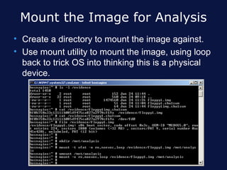 Mount the Image for Analysis
• Create a directory to mount the image against.
• Use mount utility to mount the image, using loop
  back to trick OS into thinking this is a physical
  device.
 