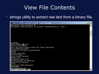 View File Contents
• strings utility to extract raw text from a binary file.
 