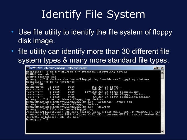 linux forensics linux file system types