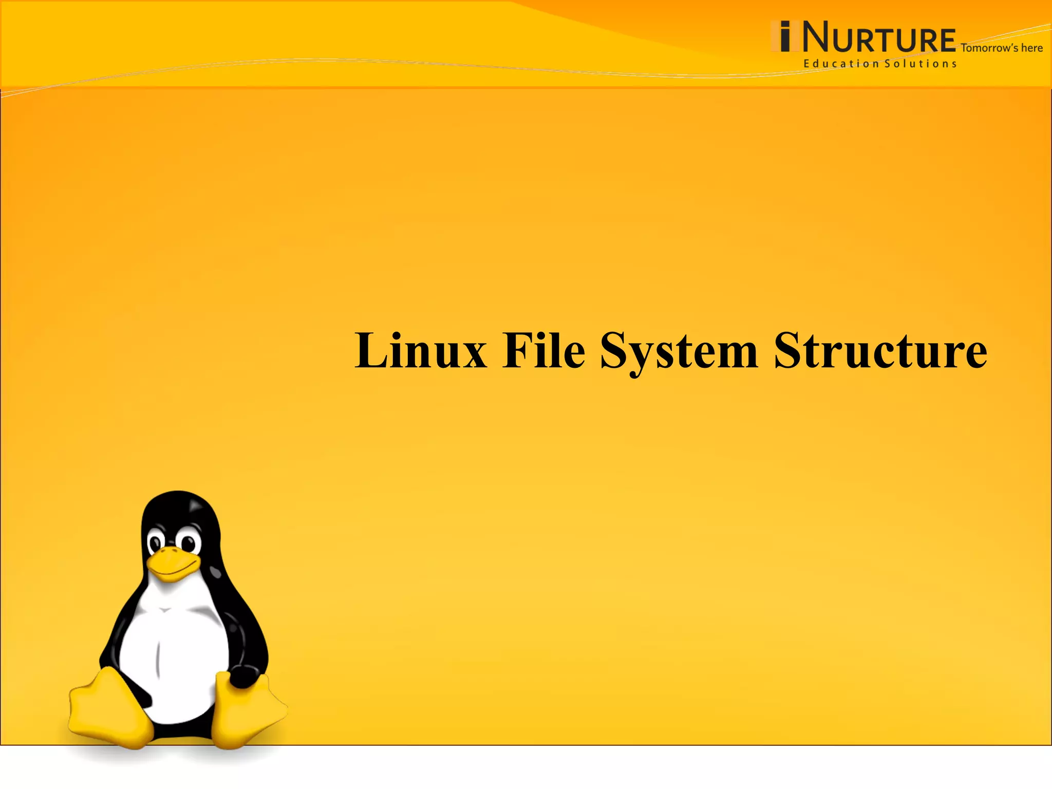 Linux File System Structure 