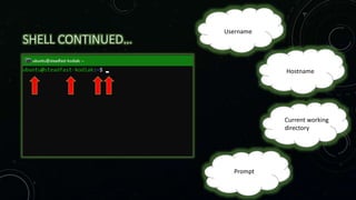SHELL CONTINUED…
root
root
root
root
Username
Hostname
Current working
directory
Prompt
 