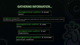 GATHERING INFORMATION…
 