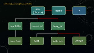 /
home
important_stuff
test
linux_fun
new_folder
sloth_facts coffee
newer_folder
user
(ubuntu)
cd /home/[username]/linux_fun/coffee
 