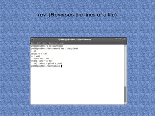 rev  (Reverses the lines of a file) 