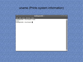 uname (Prints system information) 
