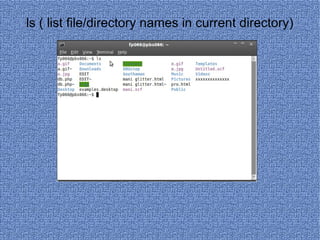ls ( list file/directory names in current directory) 