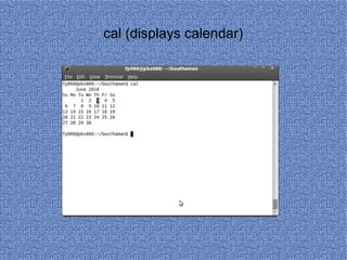 cal (displays calendar) 