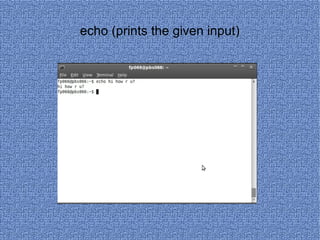 echo (prints the given input) 