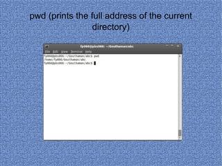 pwd (prints the full address of the current directory) 