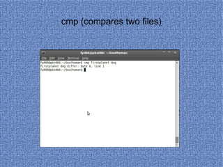 cmp (compares two files) 