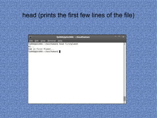 head (prints the first few lines of the file) 